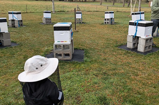 bowral honey farm tour southern highlands