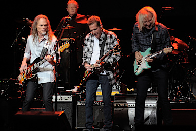 The Eagles