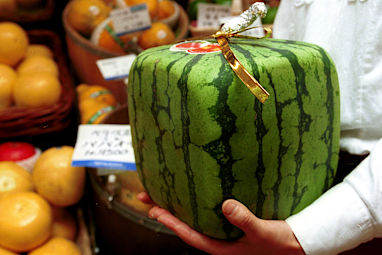 Cube Watermelon