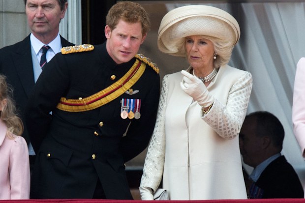 Prince Harry and Camilla, Queen Consort