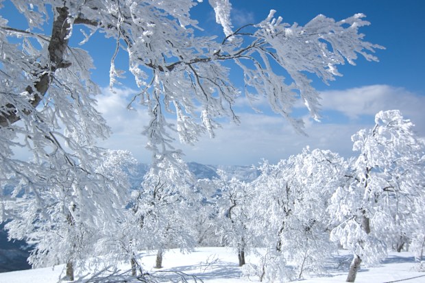 Nozawa Onsen Japan