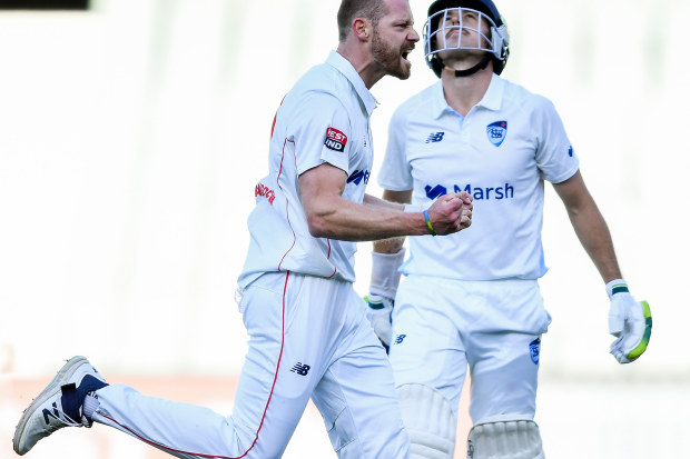 South Australia's Nathan McAndrew celebrates a wicket in the Sheffield Shield.