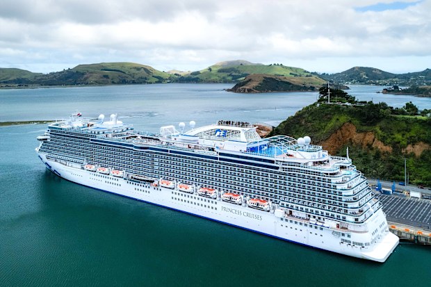 Discovery Princess from Princess Cruises