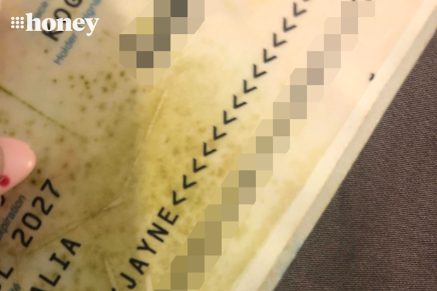 Bronte Gossling passport