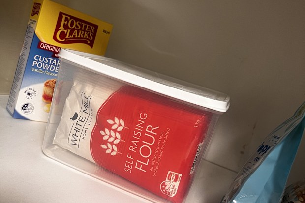 weevils infestation in pantry how to clean