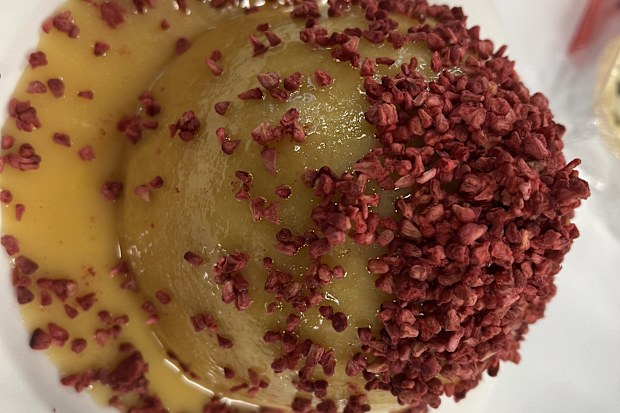 Coles Finest Luxury Sicilian Lemon Sponge Pudding