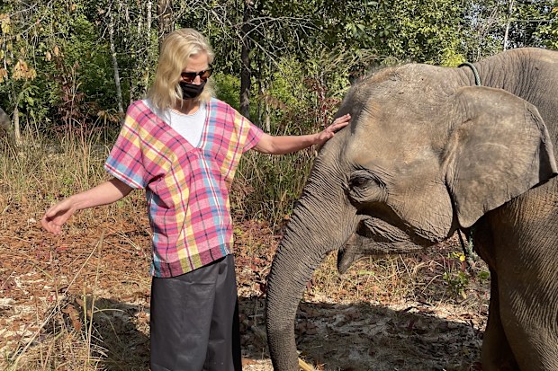 Things to do in Chiang Mai - elephant sanctuary