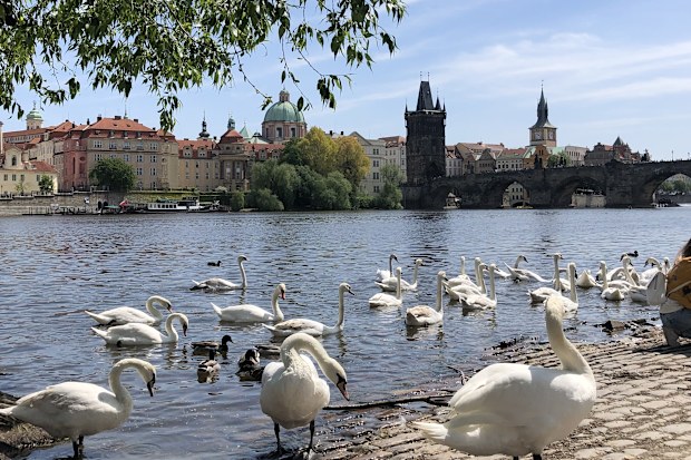 Best city for solo female travellers - Prague