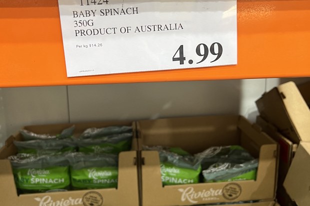 costco marsden park items you can freeze jo abi 9honey consumer reporter