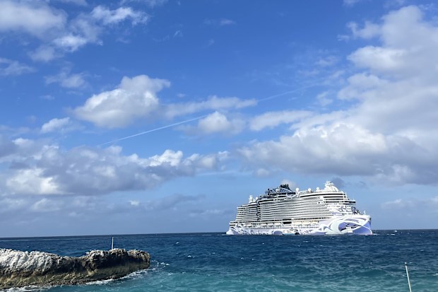 Norwegian viva