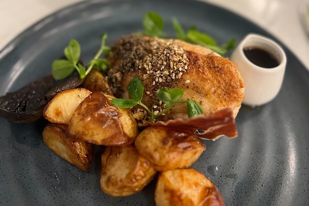 Food meal chicken hotel eatery dish 