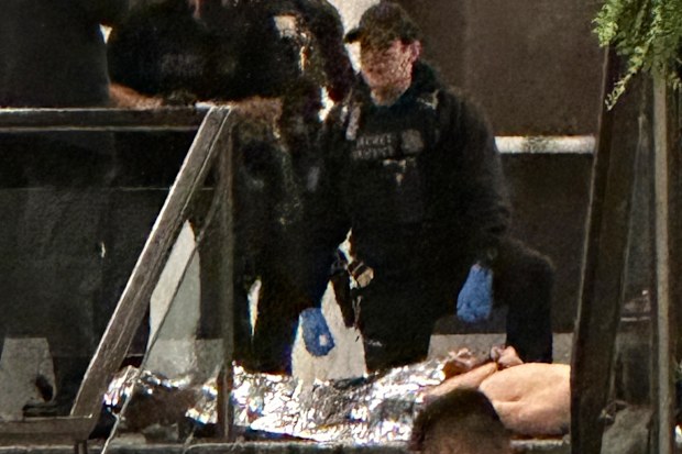 Members of law enforcement respond during the White House Correspondents Dinner, Saturday, April 25, 2026, in Washington. (AP Photo/Alex Brandon)