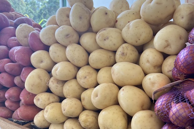 potato prices in australia double in price mop virus