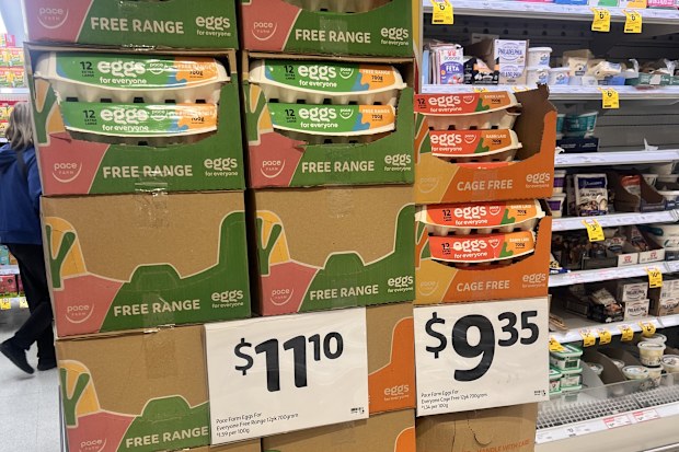 eggs and coles supply and prices