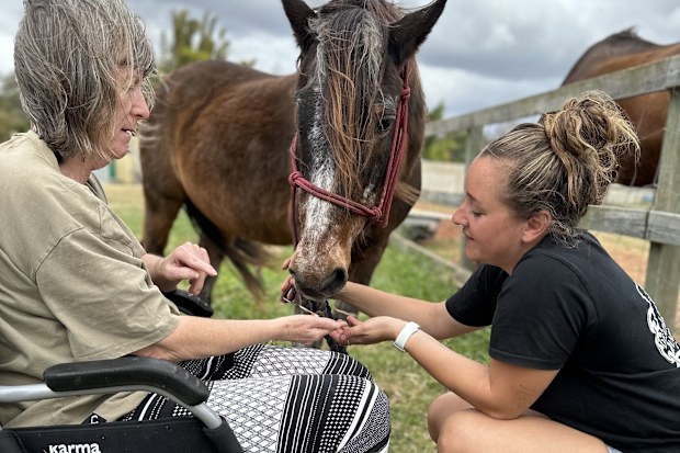 Kate Elena is the founder and director of DRU Animal Rescue.