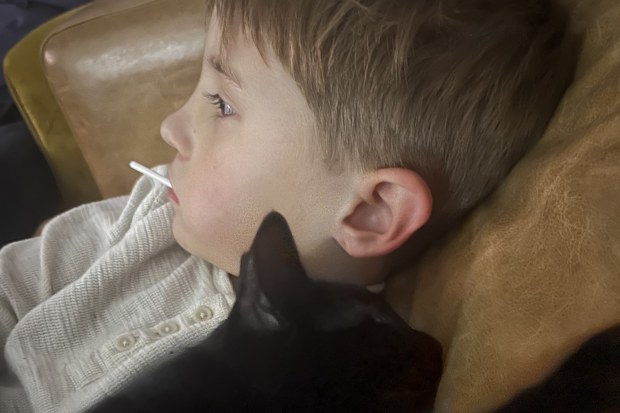 neuroblastoma jack and his family new kitten caviar hills cat rescue the kids cancer project