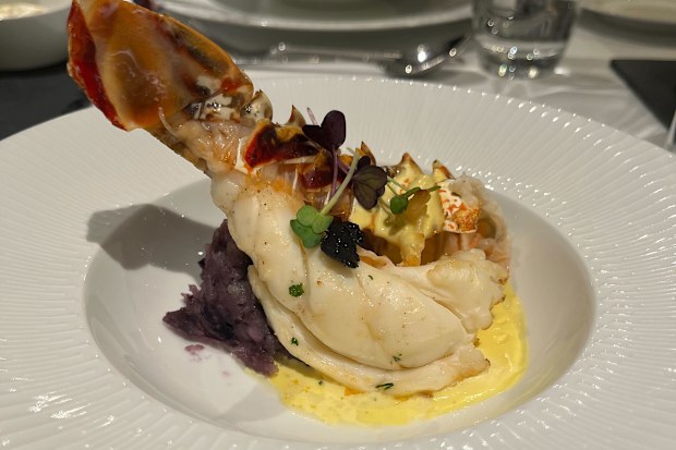 Demi queue de langouste on board Avalon Waterways Artistry II