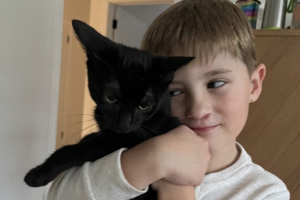 neuroblastoma jack and his family new kitten caviar hills cat rescue the kids cancer project