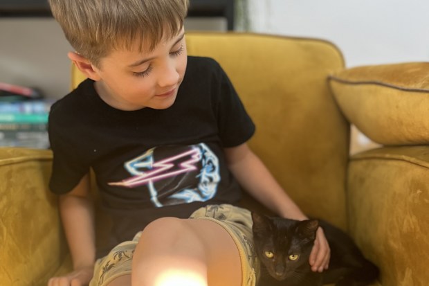 neuroblastoma jack and his family new kitten caviar hills cat rescue the kids cancer project