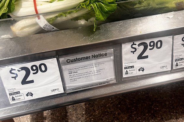 pak choy coles supermarket shortage customer notice