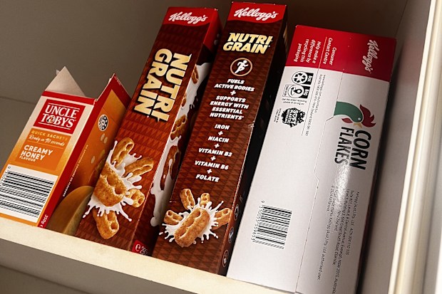 weevils infestation in pantry how to clean