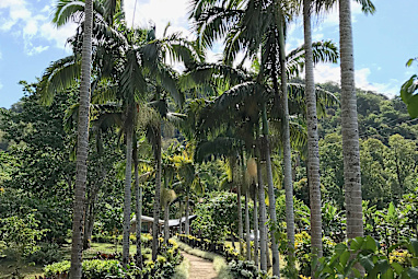 Vailima Botanical Gardens