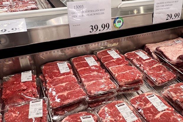 butcher meat display