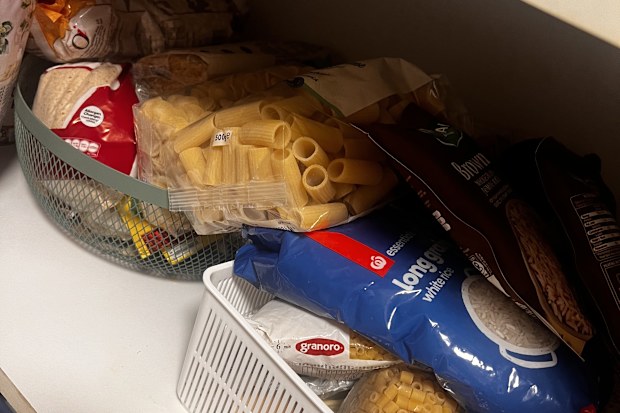 weevils infestation in pantry how to clean