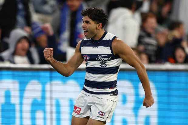 AFL News 2024: Geelong Cats, Tyson Stengle hospital, nightclub incident,  North Melbourne win, Chris Scott comments