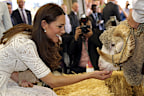 Her Royal Highness Kate, Duchess of Cambridge pats Fred the Merino Ram during a visit to the Royal  Easter Show in Sydney,  Australia, Friday, April 18, 2014. The Duke and Duchess of Cambridge are on a three-week tour of Australia and New Zealand, the first official trip overseas with their son, Prince George.(AP Photo/Rob Griffith/Pool)