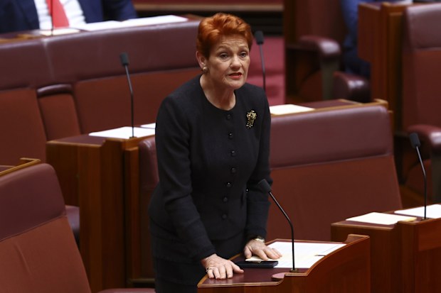 Senator Pauline Hanson nominates Senator David Pocock for Senate President during the opening of the 48th Parliament in the Senate at Parliament House in Canberra on July 22, 2025. FEDPOL. Photo: Dominic Lorrimer