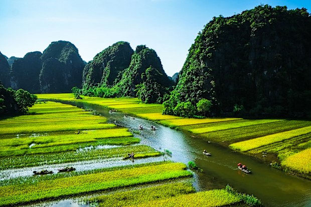 Rice field and river, NinhBinh, vietnam landscapes