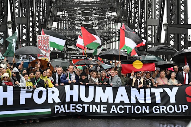 Pro-Palestine protesters march across the Sydney Harbour Bridge to bring attention to the ongoing Israel bombing and aid restrictions to Gaza. 3 August 2025 Photo: Janie Barrett
