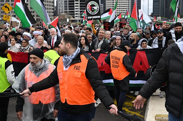 Pro-Palestine protesters march across the Sydney Harbour Bridge to bring attention to the ongoing Israel bombing and aid restrictions to Gaza. 3 August 2025 Photo: Janie Barrett
