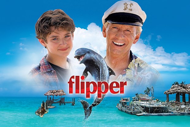 Poster for the 1996 movie Flipper