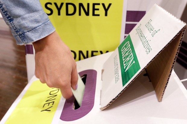 A voter casts their ballot