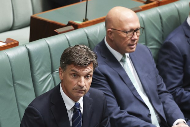 Shadow Treasurer Angus Taylor and Opposition Leader Peter Dutton in the House of Representatives at Parliament House in Canberra on Wednesday 26 March 2025. fedpol Photo: Alex Ellinghausen