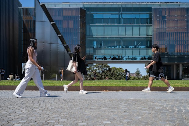 university students