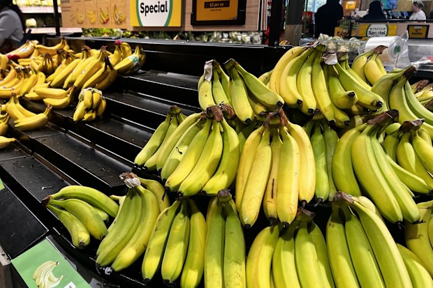 bananas appear ripe but are not due to the cool weather taking longer to ripen