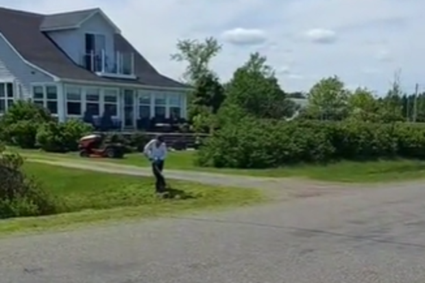 Neighbour mows lawn during wedding video