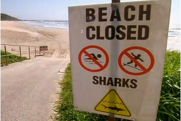 The focus has since turned towards new technologies that can ward off sharks while also not culling them or damaging an ecosystem.
