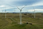 Generic Windfarm, agriculture, wind, renewable energy, on the sheep, cattle and wind farm of Deputy Chair of Farmers for Climate Action and Farmer Charlie Prell in Crookwell, NSW on June 23, 2021. Photo: 