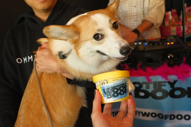 Spotify Woof Doof doggy rave