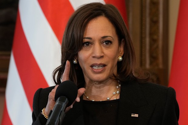US Vice President Kamala Harris speaks during a joint press conference with Poland's President Andrzej Duda on the occasion of their meeting at Belwelder Palace, in Warsaw, Poland, Thursday, March 10, 2022
