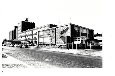 1961