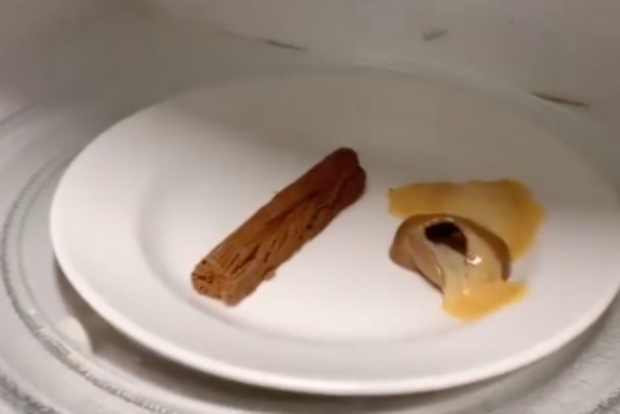 Microwaveable Flake hack sends internet into a frenzy