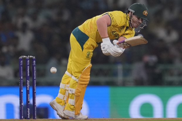 Australia's David Warner bats during the ICC Cricket World Cup.