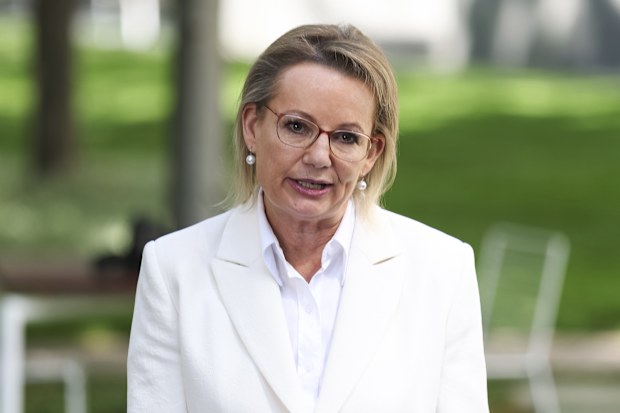 Sussan Ley addresses the media following a Liberal party meeting at Parliament House in Canberra on Friday 13 February 2026. fedpol Photo: Alex Ellinghausen