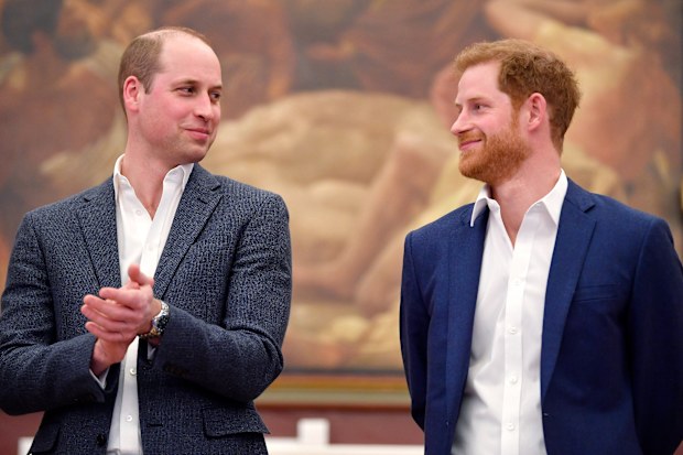 Harry and William olive branch