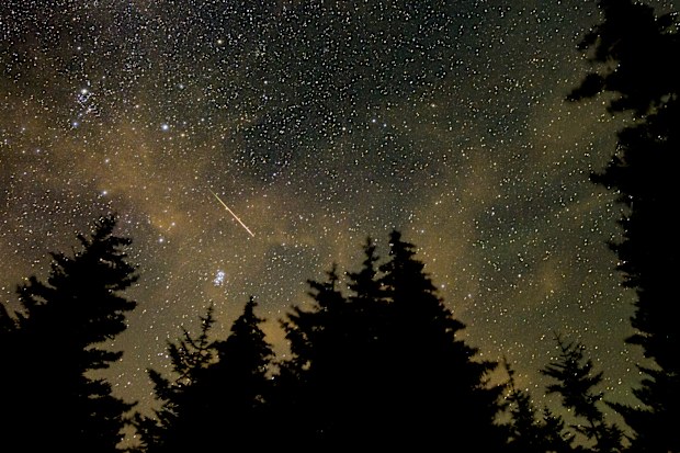 In this 30 second exposure, a meteor streaks across the sky during the annual Perseid meteor shower in Spruce Knob, West Virginia. 